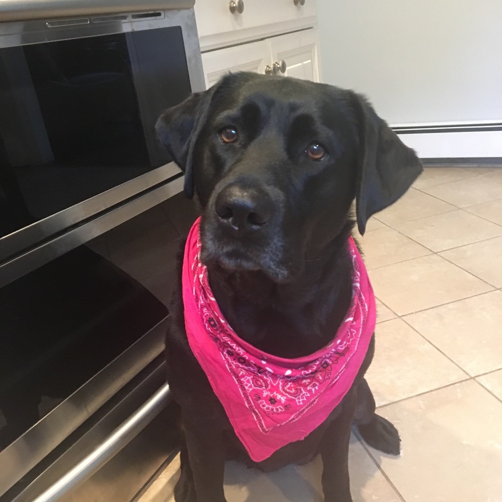 Meet your Posher, Erin